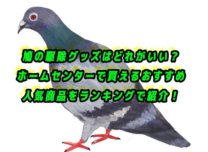 鳩 駆除 グッズ