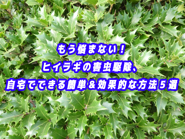 もう悩まない！ヒイラギの害虫駆除、自宅でできる簡単＆効果的な方法５選