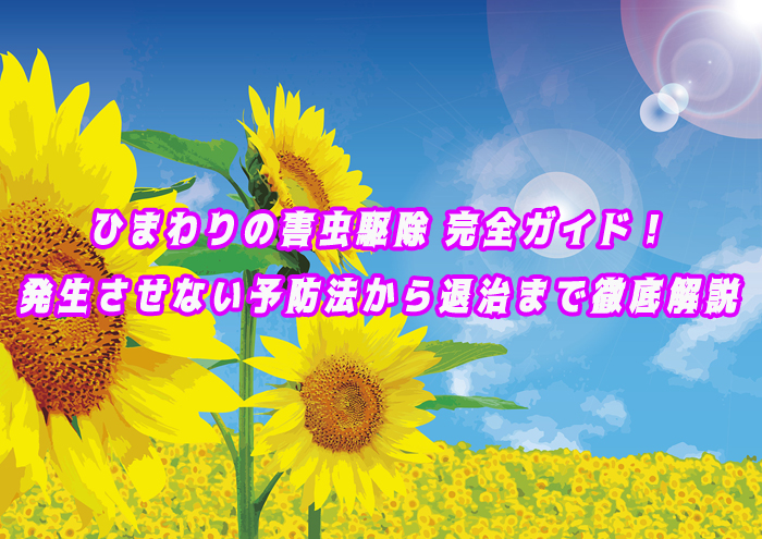 ひまわりの害虫駆除 完全ガイド！発生させない予防法から退治まで徹底解説