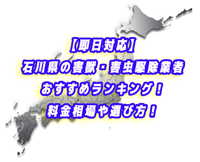 石川県　害獣・害虫駆除 業者ランキング