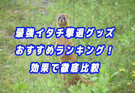 イタチ　撃退　グッズ