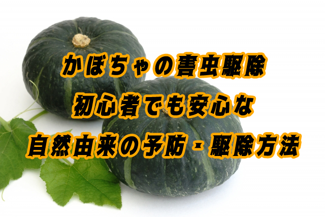 農薬を使わない！かぼちゃの害虫駆除｜初心者でも安心な自然由来の予防・駆除方法7選