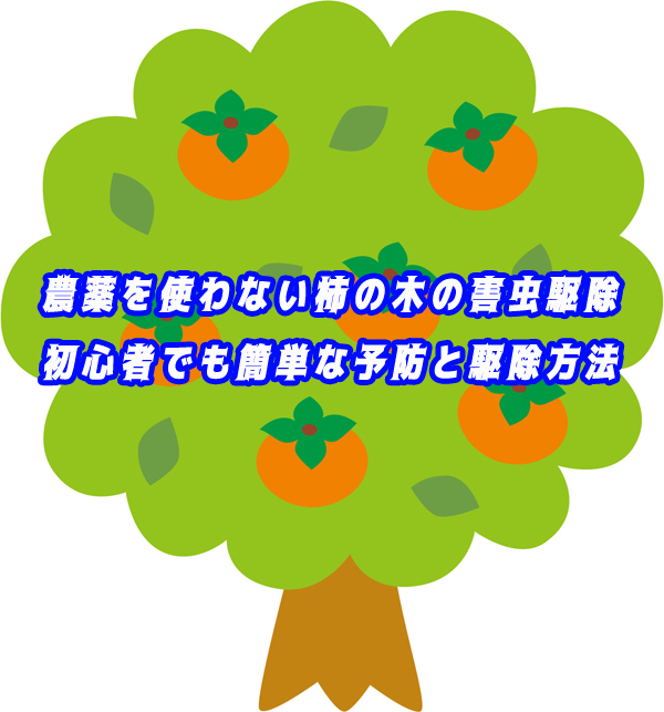 農薬を使わない柿の木の害虫駆除|初心者でも簡単な予防と駆除方法