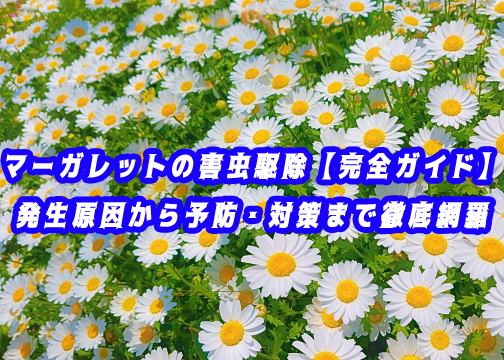 マーガレットの害虫駆除【完全ガイド】発生原因から予防・対策まで徹底網羅