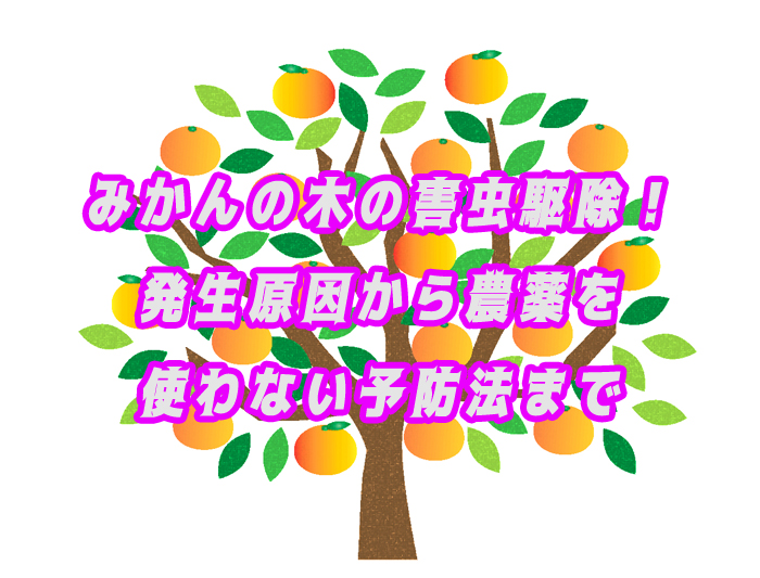 【完全ガイド】みかんの木の害虫駆除|発生原因から農薬を使わない予防法まで