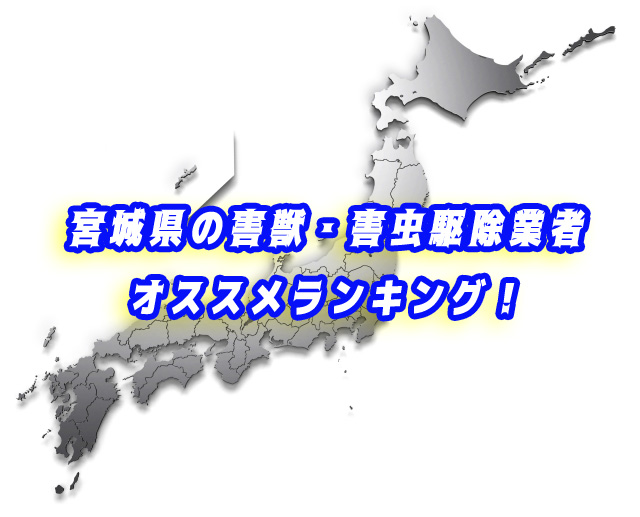 宮城県　害獣・害虫　駆除業者ランキング