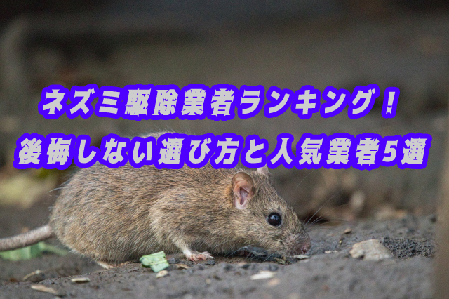 ネズミ駆除 業者 おすすめランキング
