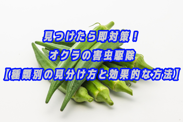 見つけたら即対策！オクラの害虫駆除【種類別の見分け方と効果的な方法】