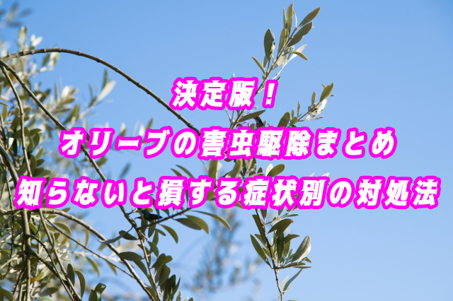 決定版！オリーブの害虫駆除まとめ｜知らないと損する症状別の対処法を網羅