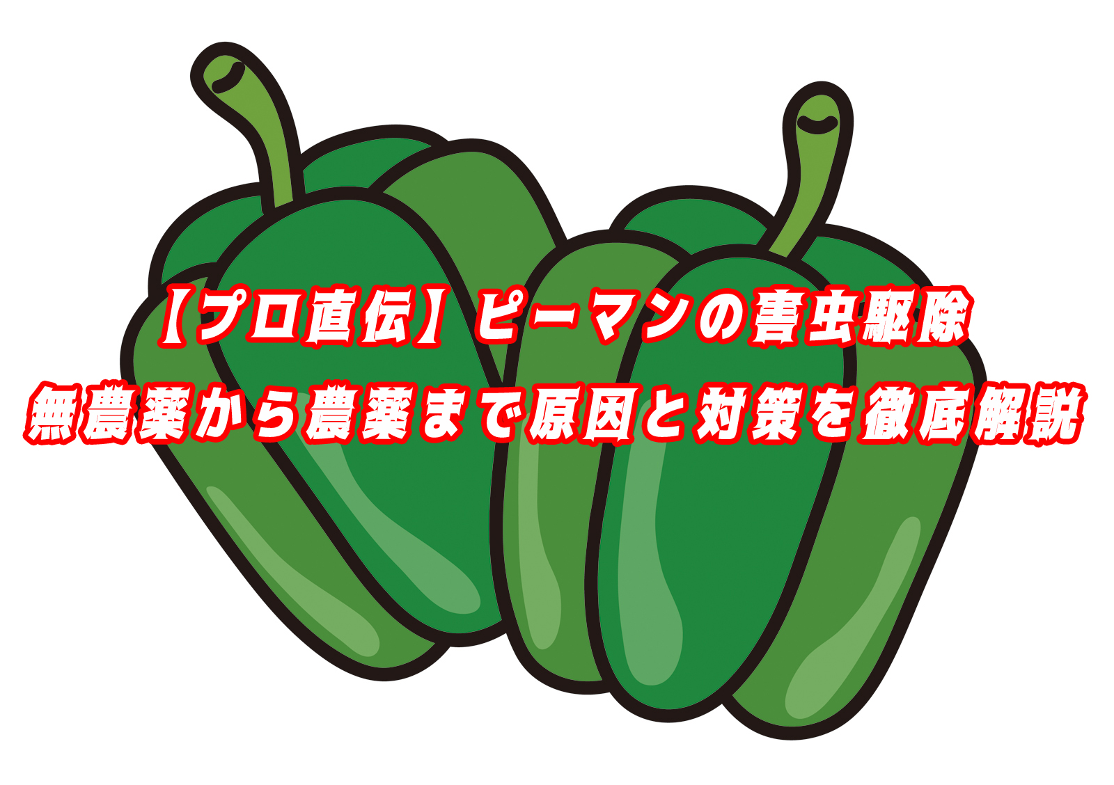【プロ直伝】ピーマンの害虫駆除｜無農薬から農薬まで原因と対策を徹底解説