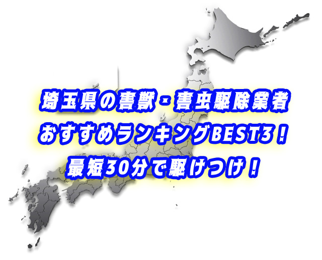 埼玉県　害獣・害虫　業者ランキング