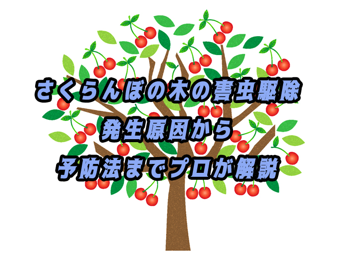 さくらんぼの木の害虫駆除|発生原因から予防法までプロが解説