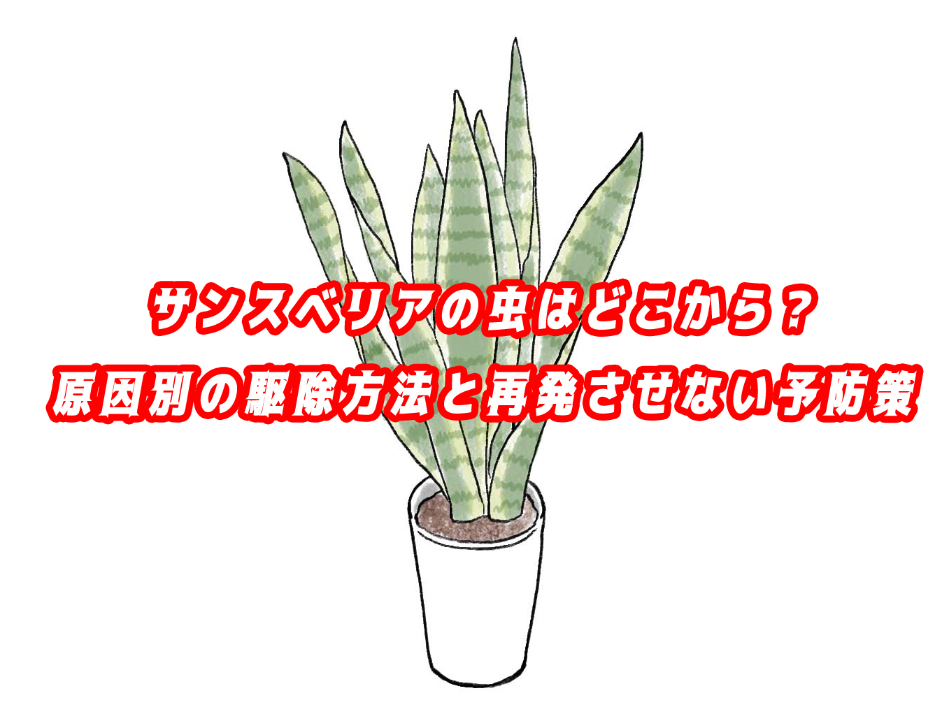 サンスベリアの虫はどこから？原因別の駆除方法と再発させない予防策