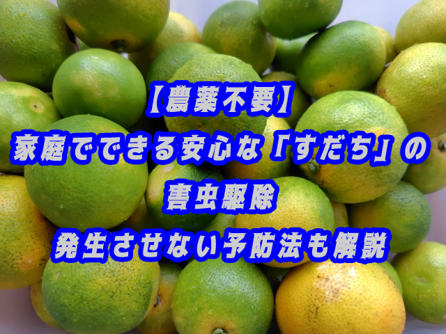 【農薬不要】家庭でできる安心な「すだち」の害虫駆除｜発生させない予防法も解説