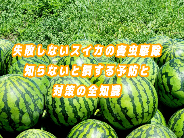 失敗しないスイカの害虫駆除｜知らないと損する予防と対策の全知識
