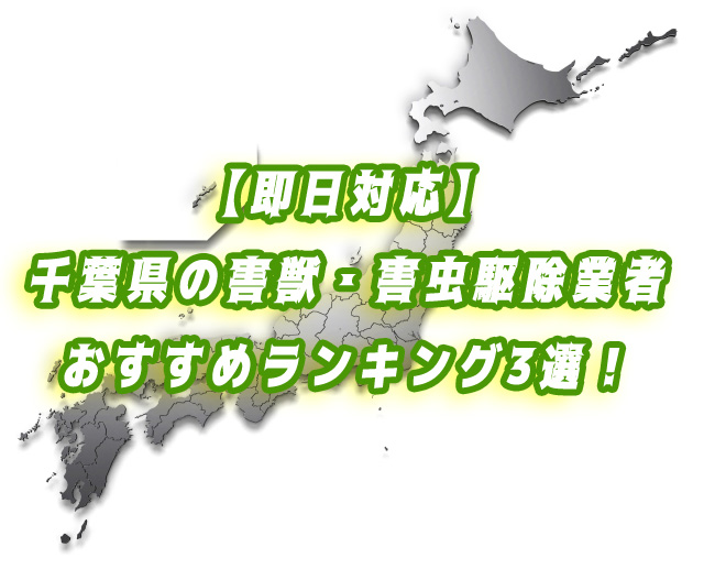 千葉県　害獣・害虫　駆除　業者ランキング