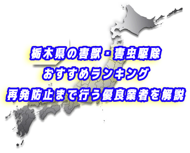 栃木県　害獣・害虫　駆除業者ランキング