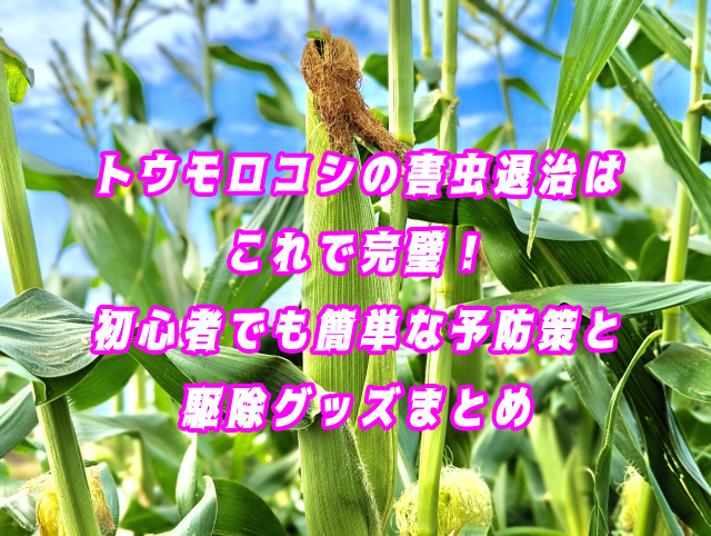 トウモロコシの害虫退治はこれで完璧！初心者でも簡単な予防策と駆除グッズまとめ