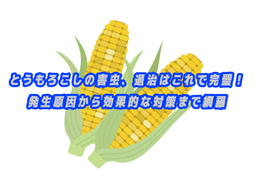 OKとうもろこしの害虫、退治（駆除）はこれで完璧！発生原因から効果的な対策まで網羅