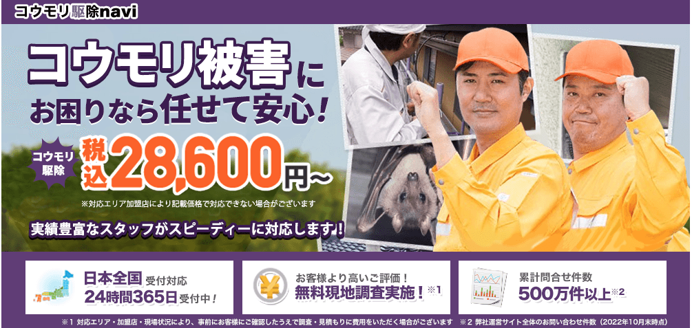 コウモリ駆除navi