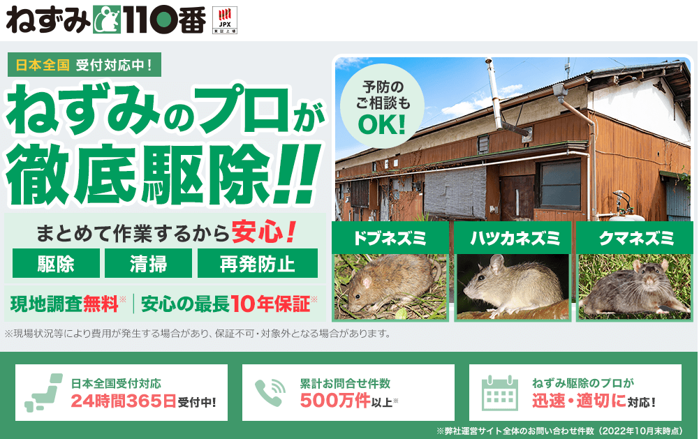 ねずみ110番