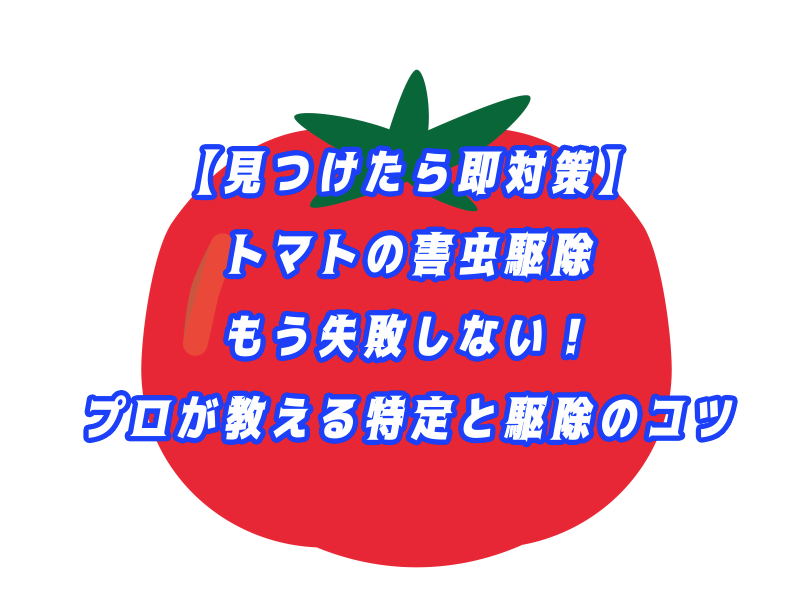 【見つけたら即対策】トマトの害虫駆除｜もう失敗しない！プロが教える特定と駆除のコツ