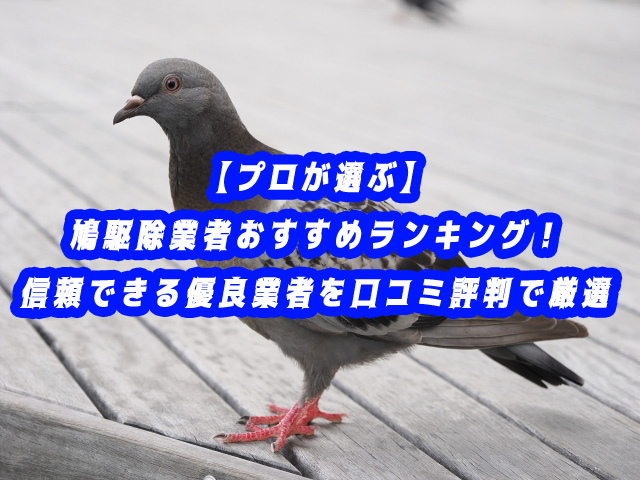 鳩駆除業者　おすすめ　ランキング